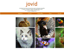 Tablet Screenshot of jovid.es